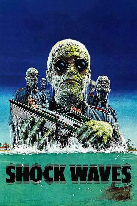 Shock Waves